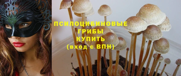 2c-b Алексеевка